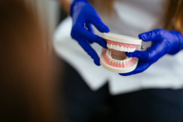 Best Dental Fillings (Composite and Amalgam)  in Peridot, AZ